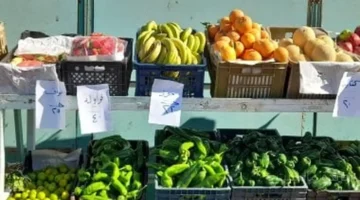 الطماطم تتراجع لـ 5 جنيهات.. استقرار في أسعار الخضراوات والفاكهة اليوم بأسواق المنوفية 1